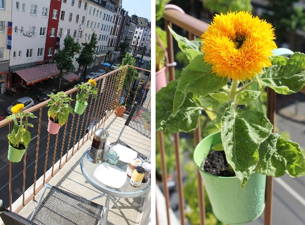 Sommer Auf Dem Balkon