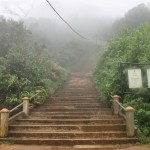 Adam´s Peak: Sri Lankas berühmteste Treppenstufen