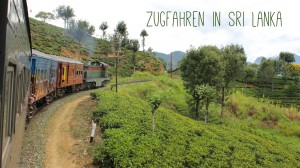 Zug inmitten der Teeplantage in Sri Lanka