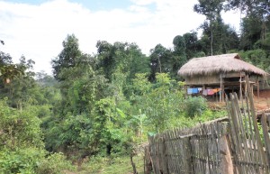 Natur und ein Bambushaus in Thailand