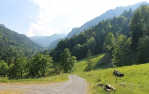Wanderweg in den Bergen im Bregenzerwald
