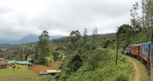 Zug in Landschaft in Sri Lanka