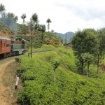 Zug fahren in Sri Lanka