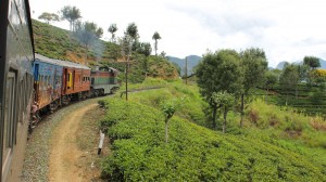 Zug in Teeplantage in Sri Lanka