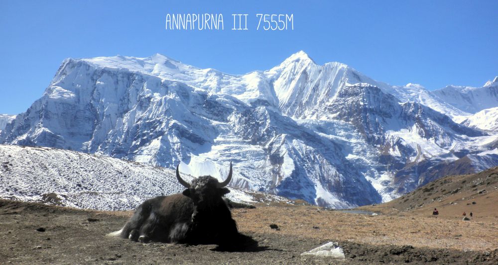 Jack Rind vor dem Annapurna Massiv