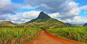 Toller Berg auf Mauritius