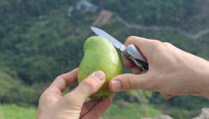 Reise Essential Messer um Obst zu schneiden