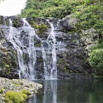 Tamarin Falls auf Mauritius | Wandern entlang der 7 Wasserfälle