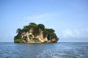 Vogelinsel Los Haitises