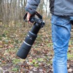 Praxistest Canon RF 800mm F11 beim Fotografieren von Vögeln | Testbericht
